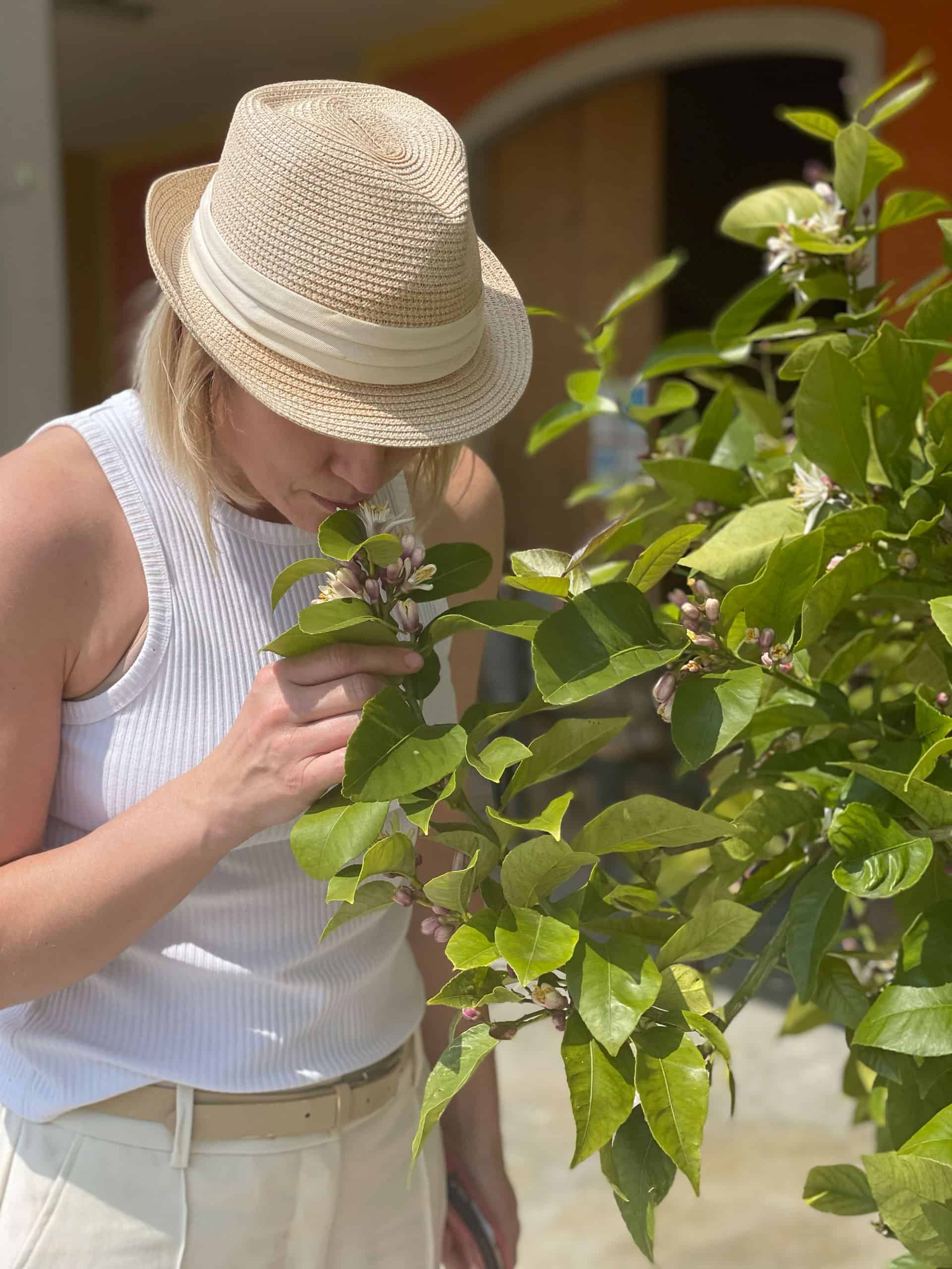 claudia-vinke-fehlauer-geld-war-da